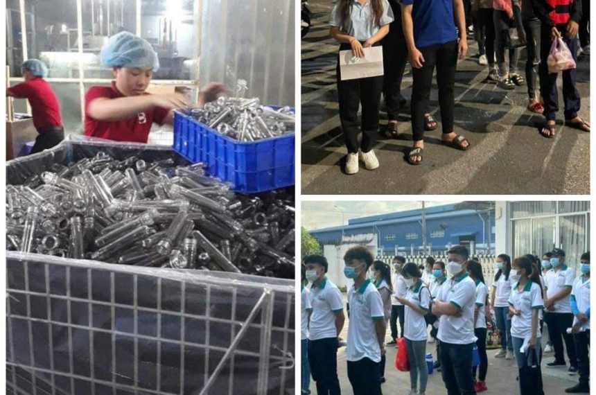 Dịch Vụ Cung Ứng Lao Động