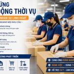 Dịch Vụ Cung Ứng Nhân Công Tại TPHCM